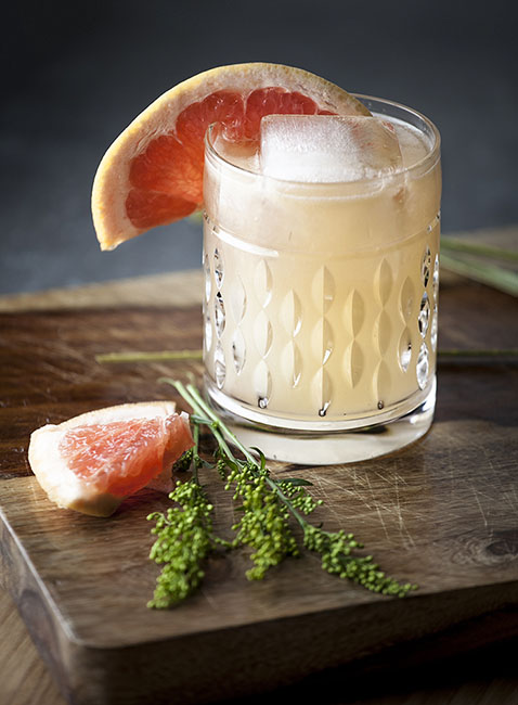 Desert Paloma 180308_4837